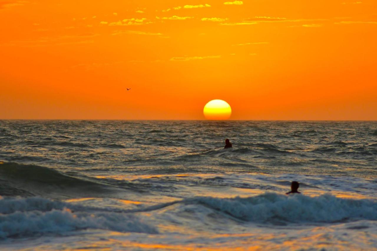 Anna Maria Island Runaway Tropical Escape برادنتون بيتش المظهر الخارجي الصورة